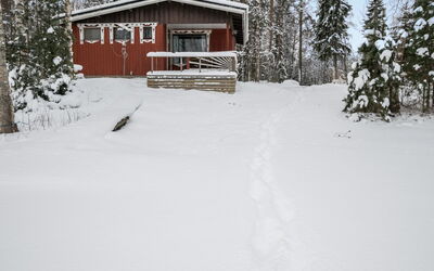 Lepikko