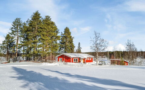 Ellilä: Boom, Sneeuw, Winter, Hout, Afdeling, Dak, Verblijf, Huis, Huis, Freezing
