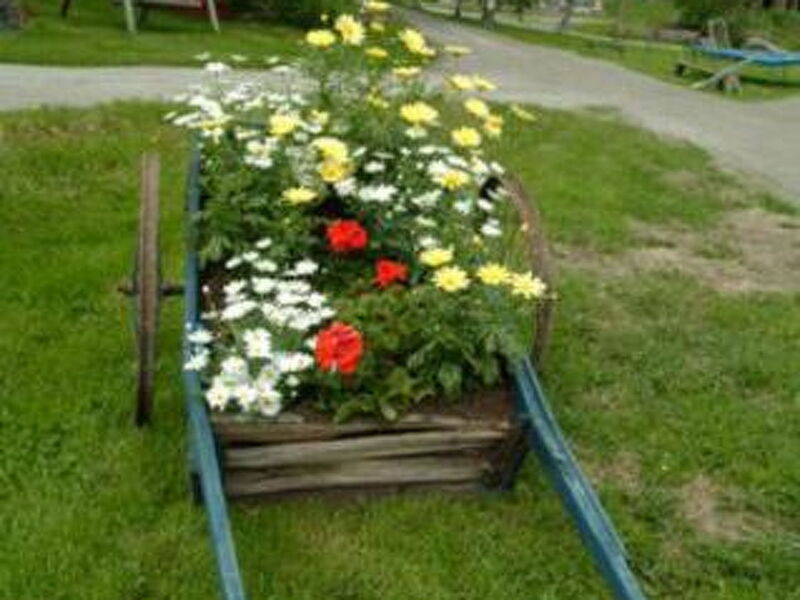 Mäntylä