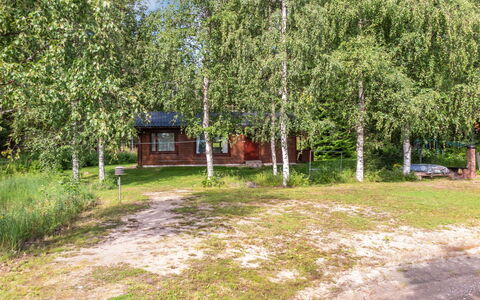 Pikkupuro: Hout, Verblijf, Blokhut, Woud, Schuur, Garden Gebouwen, Lariks, Bos, Beits