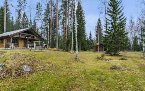 Mikko: Gras, Huis, Verblijf, Land Lot, Huis, Landgoed, Gazon, Siding, Boerderij, Veranda