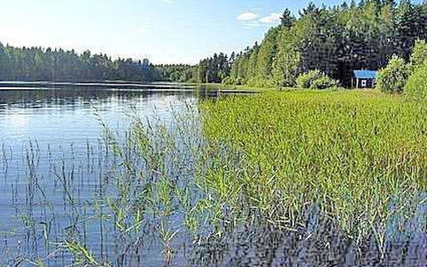 Pikku-Villa: Water, Watervoorraden, Zwemwater, Groen, Natuurlijke Omgeving, Natuur, Natuurlijk Landschap, Moeras, Bank