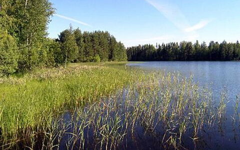 Pikku-Villa: Water, Watervoorraden, Zwemwater, Groen, Natuurlijke Omgeving, Natuur, Natuurlijk Landschap, Moeras, Zomer, Bank