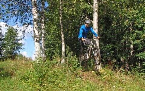 Vaaran Loma-Asunto: Hout, Verblijf, Blokhut, Woud, Schuur, Garden Gebouwen, Lariks, Bos, Beits