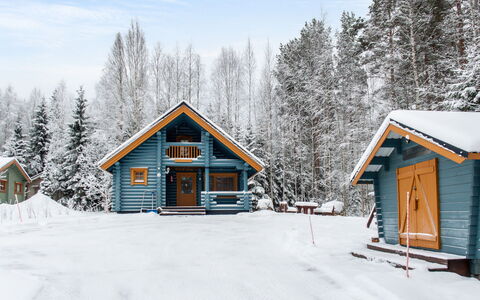 Linnanhelmi (Ent. Metsäpeura): Hout, Sneeuw, Winter, Verblijf, Freezing, Huis, Blokhut, Lariks, Siding