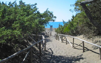 Marina Di Bibbona 150