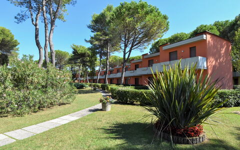 Bibione 380: Fabriek, Lucht, Dag, Plantengemeenschap, Boom, Blad, Land Lot, Schaduw, Arecales, Natuurlijk Landschap