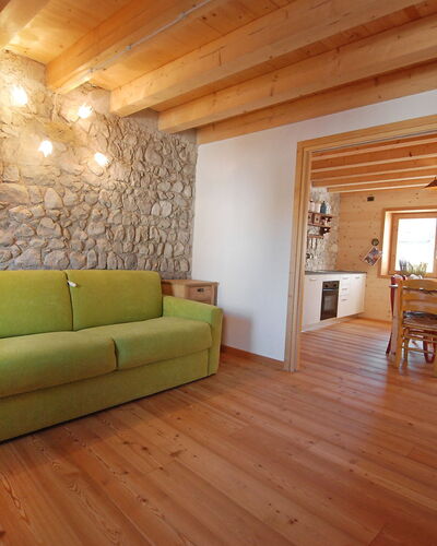 Albergo Diffuso - Cjasa Ustin 100.1