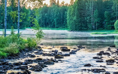 Niemenkärki, Vaikon Loma 8