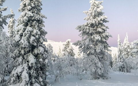 Utsunusko a: Hout, Sneeuw, Winter, Verblijf, Freezing, Huis, Blokhut, Lariks, Siding