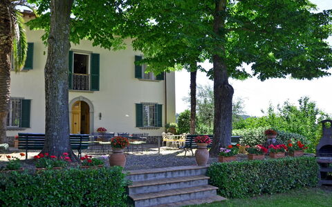 Villa Buonaparte: Eigendom, Huis, Gebouw, Huis, Onroerend Goed, Boom, Landgoed, Binnenplaats, Woongebied, Werf