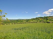 Sarteano