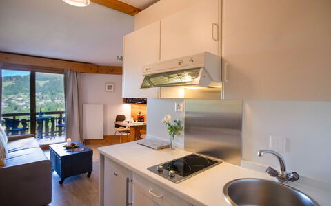 Accommodatie:&nbsp;Le Bristol A25 783.31