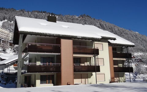 Blumenweg 8: Winter, Sneeuw, Freezing, Glacial Landform, Bergdorp, Balkon, Daylighting, Alpen