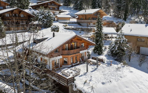 Chalet Petit Pont: Boom, Huis, Huis, Verblijf, Dak, Sneeuw, Winter, Heuvel Station, Lariks, Dorp