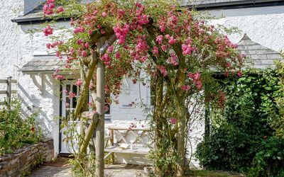 Thrift Cottage