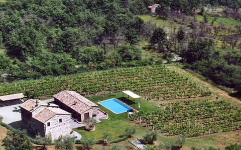 Val D'Orcia: Heuvel Station, Natuurlijk Landschap, Bergdorp, Landelijk Gebied, Menselijke Nederzetting, Landschap, Dorp, Huis, Vogelperspectief, Boom