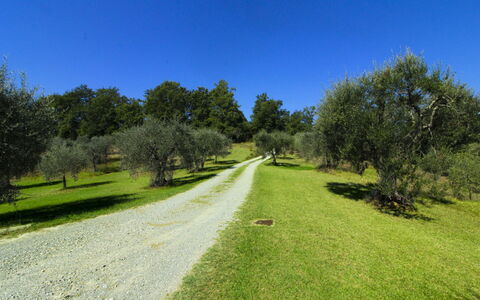 La Casetta nel Bosco: Landgoed, Boerderij, Tuin, Landscaping, Hacienda, Gazon, Villa, Werf, Backyard, Herenhuis