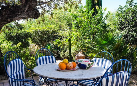 Mirada al Sol: Eigendom, Backyard, Boom, Onroerend Goed, Meubilair, Patio, Tafel, Werf, Huis, Tuin