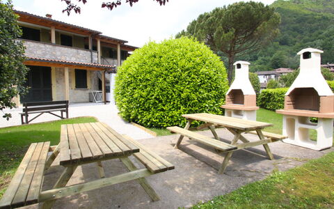 Lago D'Idro 100: Fabriek, Lucht, Eigendom, Gebouw, Meubilair, Tafel, Natuur, Boom, Plantkunde, Venster