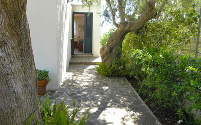 Castro 550: Eigendom, Boom, Huis, Gang, Onroerend Goed, Plantkunde, Gras, Huis, Gebouw, Werf