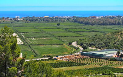 Del Azahar