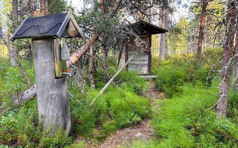 Nanguvilla: Hout, Verblijf, Blokhut, Woud, Schuur, Garden Gebouwen, Lariks, Bos, Beits