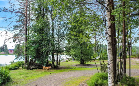Hamppulahti: Verblijf, Huis, Huis, Garden Gebouwen, Siding, Blokhut, Boerderij, Landgoed, Schuur, Werf