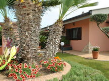Villa i Lauri