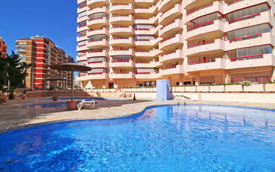 Accommodatie:&nbsp;Amatista 09 867.9