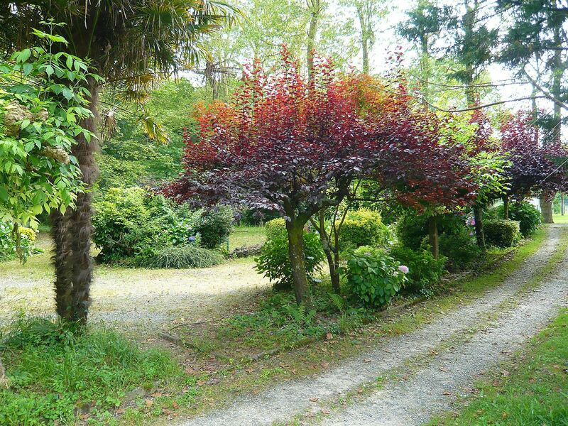 Jardins D'arcadie