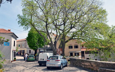 Kristijan: Woongebied, Boom, Buurt, Eigendom,  Dorf\, Woody Plant, Vervoer, Fabriek, Voorstad, Voertuig