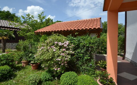 Franjo: Eigendom, Onroerend Goed, Tuin, Huis, Werf, Plantkunde, Dak, Fabriek, Backyard, Gebouw