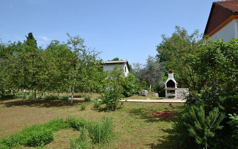 Opatija Ika 106: Fabriek, Lucht, Natuurlijk Landschap, Boom, Land Lot, Gras, Landschap, Verblijf, Struik, Venster