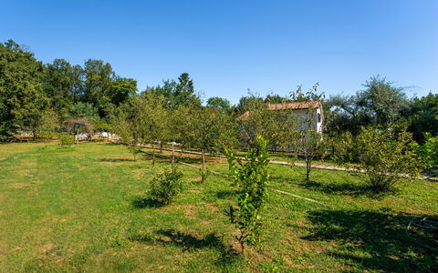 Opatija Ika 106: Boom, Natuurlijke Omgeving, Vegetation, Struik, Plain, Grasland, Landelijk Gebied, Land Lot, Tuin