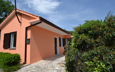 Accommodatie:&nbsp;Franjo 106.1