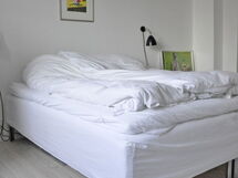 Amager Boulevard - Close To Center