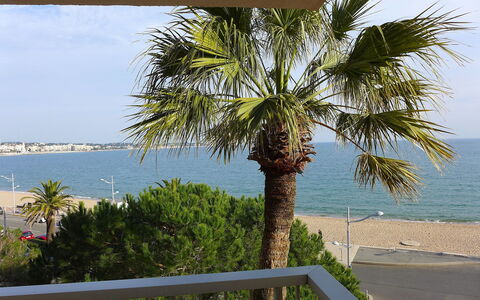 Fréjus 110: Boom, Palmboom, Arecales, Eigendom, Woody Plant, Fabriek, Vakantie, Dadelpalm, Huis, Zee
