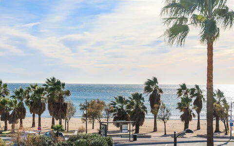Cap Hermes: Boom, Palmboom, Arecales, Woody Plant, Lucht, Fabriek, Zee, Vakantie, Strand, Kust