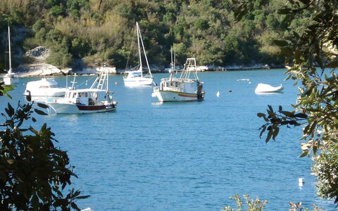 Novi: Zwemwater, Vervoer Over Water, Water, Boot, Voertuig, Meer, Boom, Waterweg, Baai, Boating