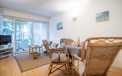 Accommodatie:&nbsp;Résidence le Boréal 182.1