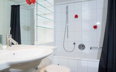Accommodatie:&nbsp;Breithorn Residence Apt.3 11.2