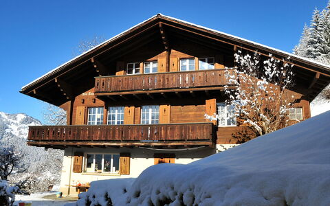 Drei Tannen: Lucht, Gebouw, Sneeuw, Fabriek, Venster, Huis, Hout, Boom, Helling, Lariks