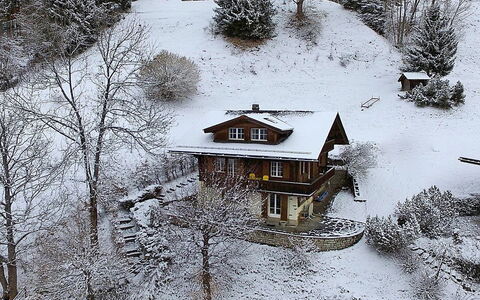 Drei Tannen: Sneeuw, Winter, Freezing, Boom, Vorst, Huis, Huis, Afdeling, Gebouw, Landschap