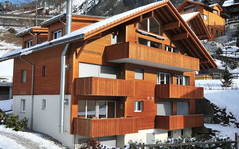 Wengen 22: Sneeuw, Gebouw, Venster, Fabriek, Hout, Huis, Boom, Helling, Biome, Verblijf