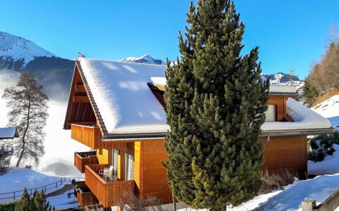Wengen 22: Lucht, Sneeuw, Gebouw, Fabriek, Berg, Boom, Lariks, Afdeling, Huis, Helling