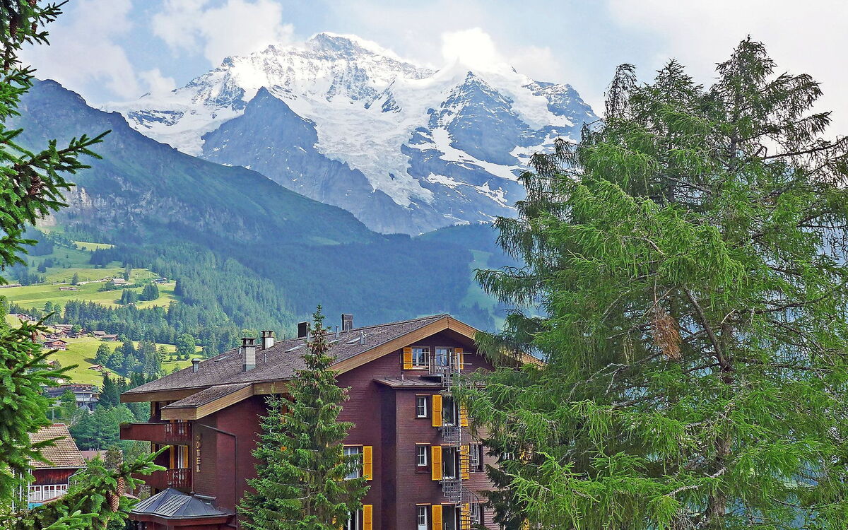 Wengen 24