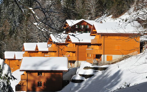 Wengen 34: Gebouw, Sneeuw, Venster, Wereld, Helling, Berg, Boom, Huis, Freezing, Biome