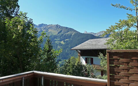Schweizerhof Apt. S: Eigendom, Berg, Huis, Dak, Wildernis, Huis, Lucht, Onroerend Goed, Gebouw, Boom