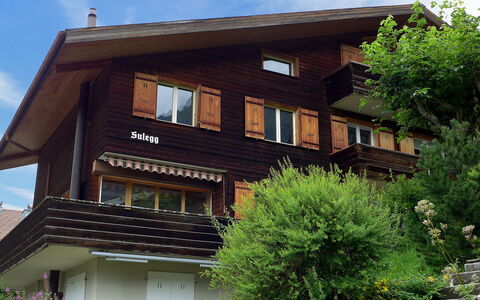 Sulegg Apt. i: Lucht, Fabriek, Wolk, Gebouw, Venster, Boom, Hout, Huis, Land Lot